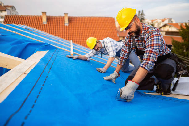 Best Roof Maintenance Services  in Long Beach, WA